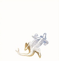 alligators eat gumdrops